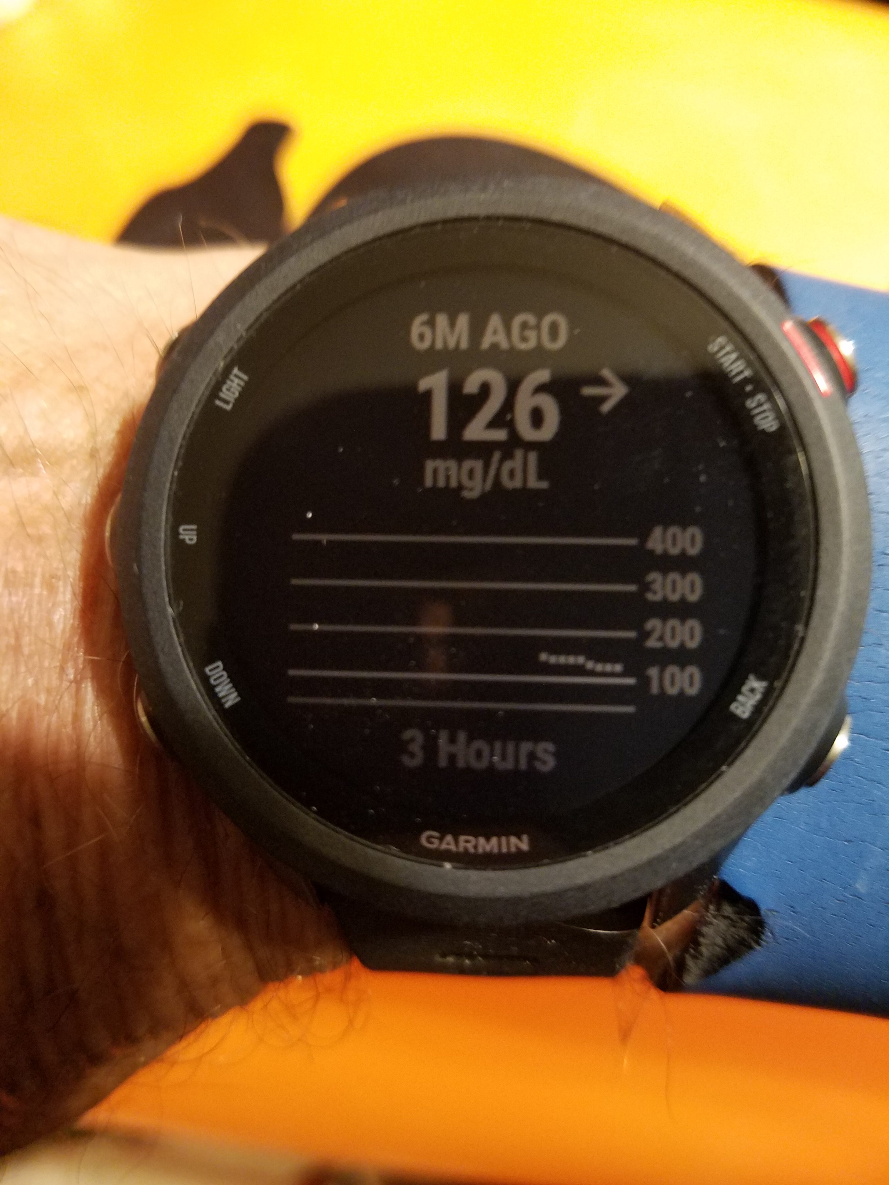 Garmin face with Dexcom numbers