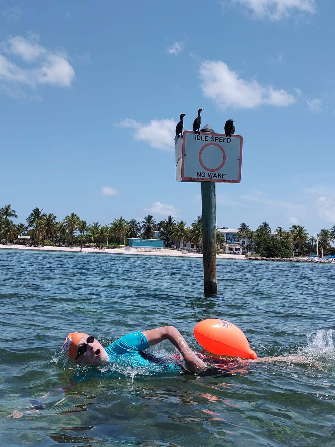 Event Report Swim Around Key West (10K) T1Determined