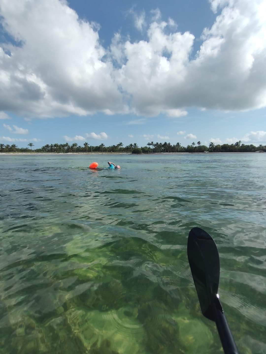 Event Report Swim Around Key West (10K) T1Determined