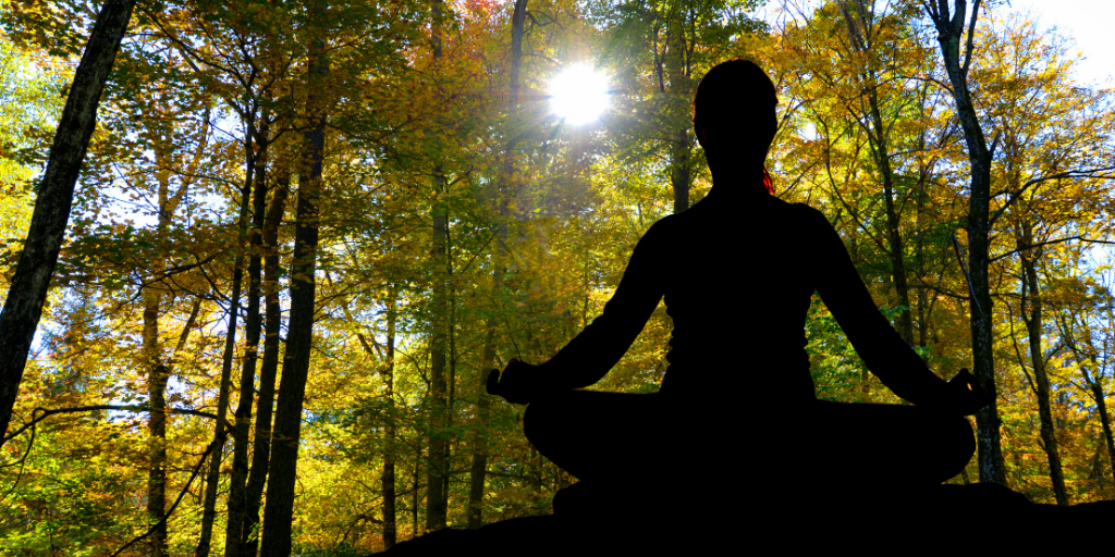 Meditating in forest